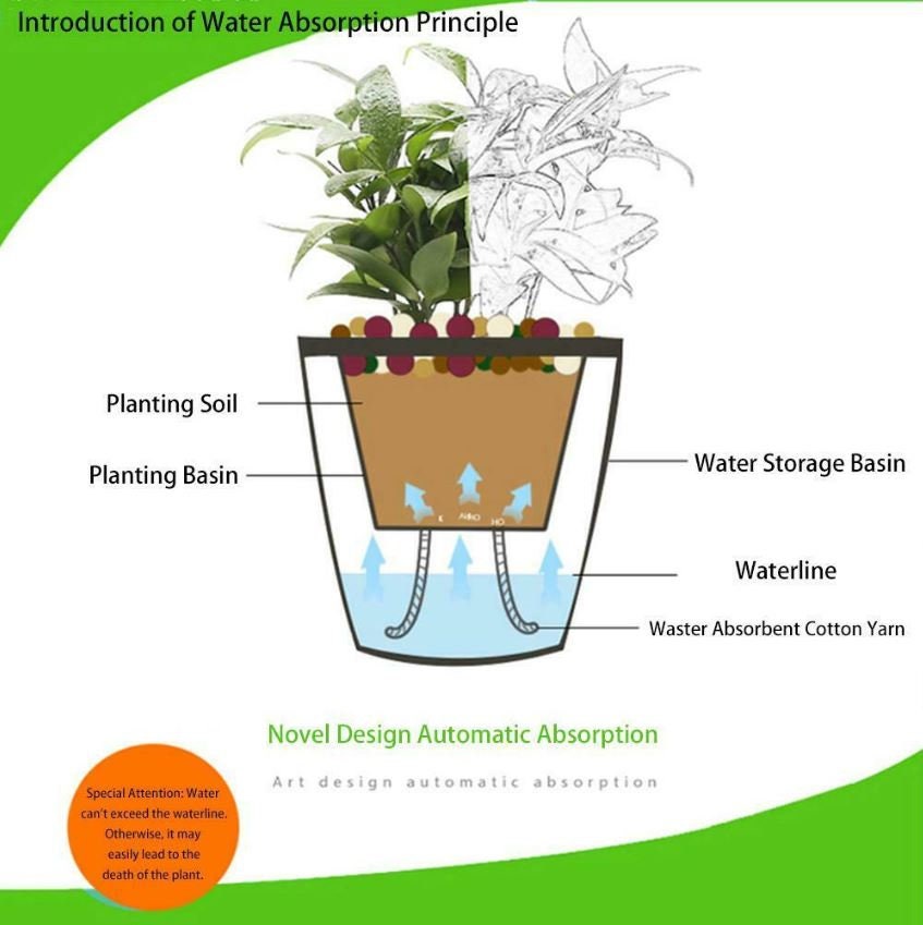 3 Clear Orchid Pots - Self Watering Planters