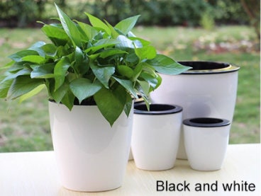 5 Perfect Orchid Pots - Self watering - Plant Planters