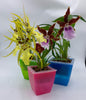 3 Perfect Square Orchid Pots - Self Watering - Plant Planters