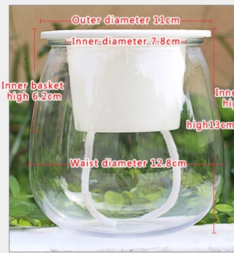 3 Clear Orchid Pots - Self Watering Planters