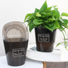 3 Perfect Orchid Planters - Self Watering - Plant Pots