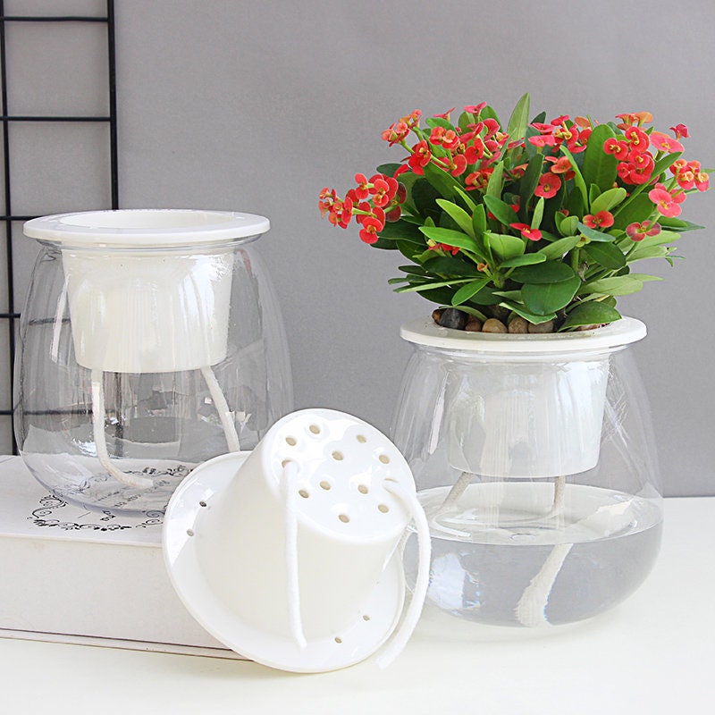 self watering orchid planter 3 Clear Orchid Pots