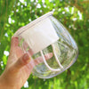 3 Clear Orchid Pots - Self Watering Planters